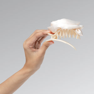 kitsch-satin-rosette-flat-cloud-clip-haarklammer-medium-cream image 3