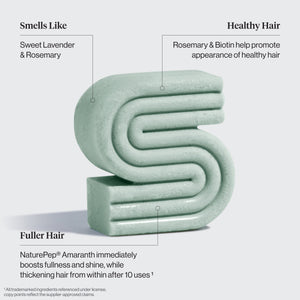 kitsch-winter-welcome-kit-rosemary-biotin-shampoo-conditioner-bar-combo image 8