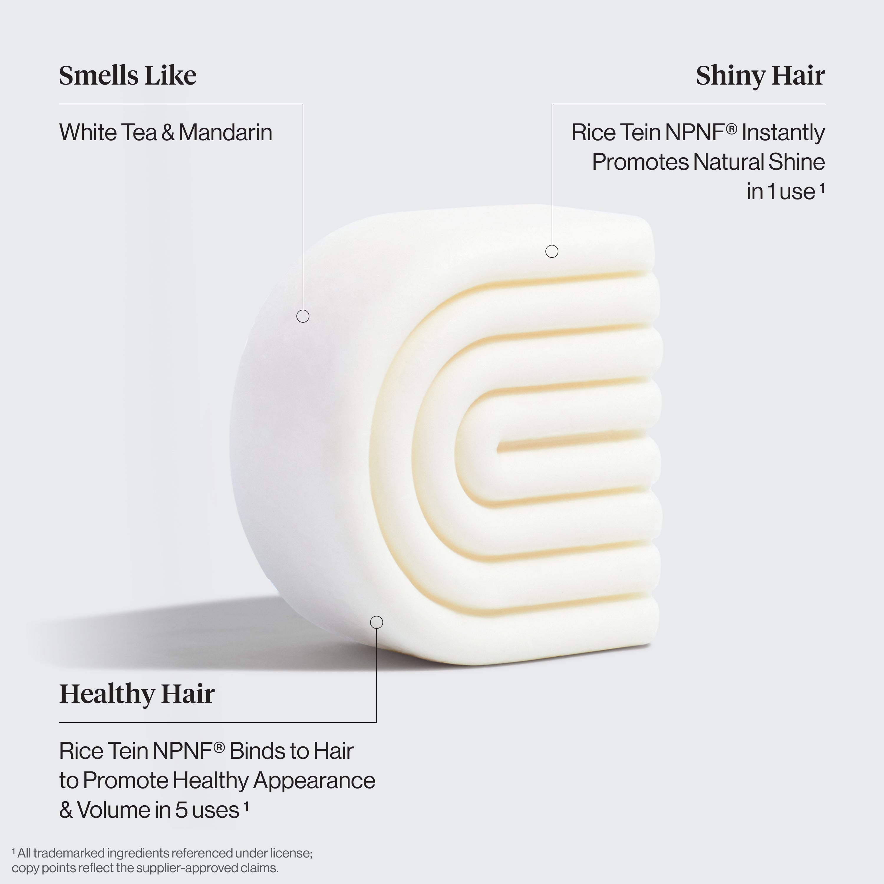 kitsch-winter-welcome-kit-rice-water-shampoo-conditioner-bar-combo-haarwachstums image 6