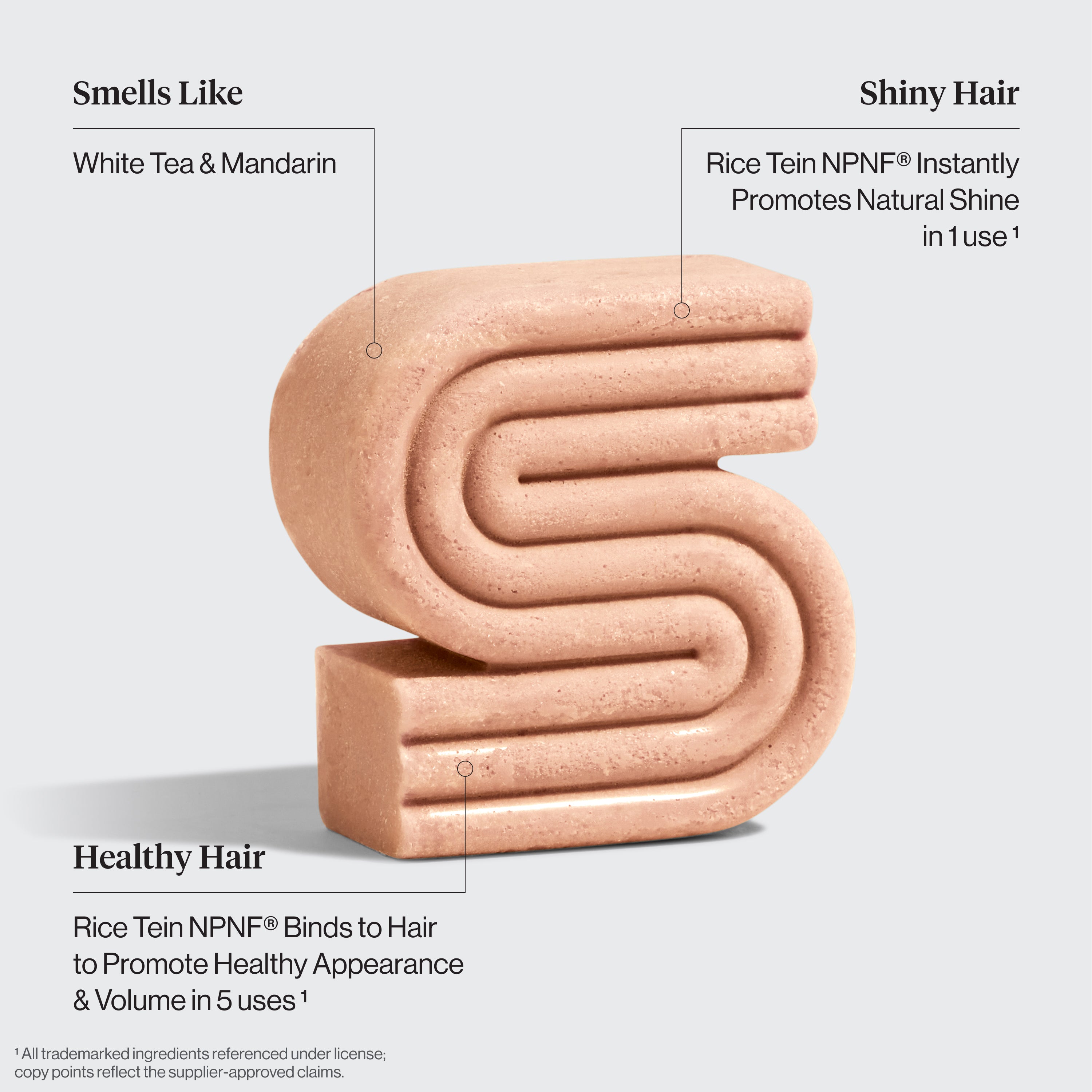 kitsch-winter-welcome-kit-rice-water-shampoo-conditioner-bar-combo-haarwachstums image 4